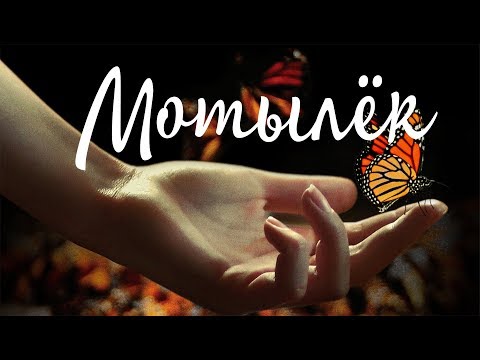 Видео: Мотылек (Фильм 2018) Драма, Криминал, Приключения, Биография #movies