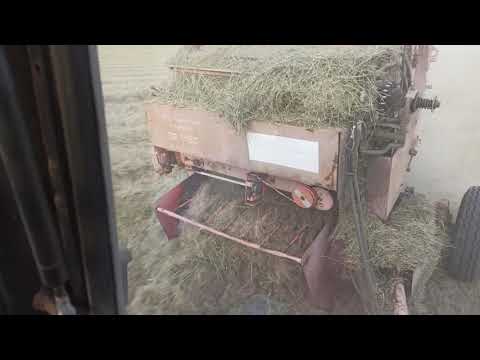 Видео: Вот какое сено получилось на сенокосных лугах в засушливые годы. поиски и пресовка сена ПР-145.С