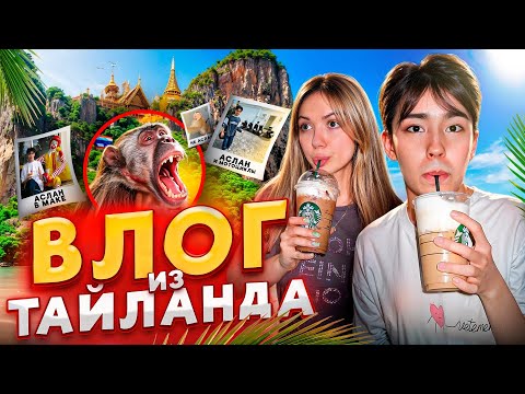 Видео: ЗАРАЗИЛСЯ БЕШЕНСТВОМ? ВЛОГ ИЗ ТАЙЛАНДА // Аслан Шукаша, Sleepy