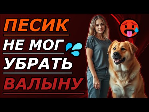 Видео: 🐶 Вечер с собакой, который Марина запомнит надолго
