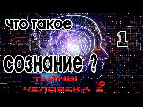 Видео: Что такое сознание ? (1)