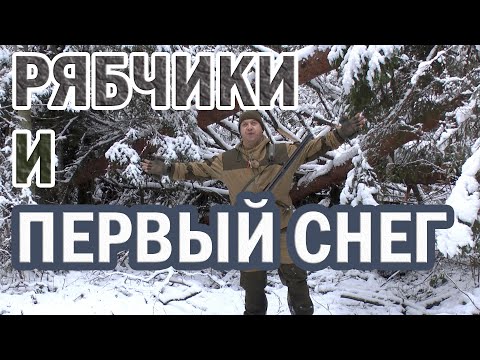 Видео: ОХОТА НА РЯБЧИКА. ПЕРВЫЙ СНЕГ. ПОСЛЕДСТВИЯ УРАГАНА.