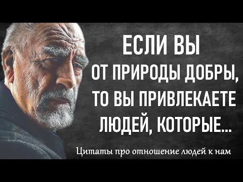 Видео: Если тебе РОЮТ ЯМУ... Цитаты про отношение людей к нам.