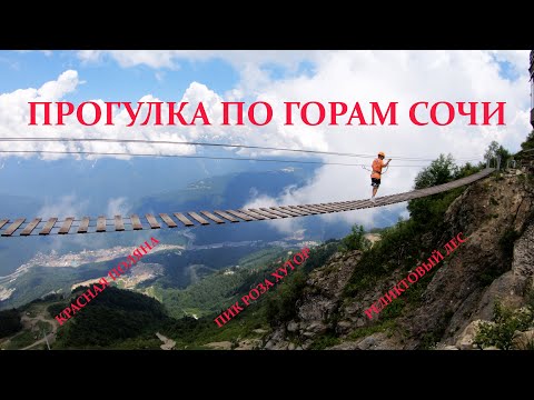 Видео: Горы Сочи. Красная поляна. Пик Роза Хутор. Реликтовый лес.