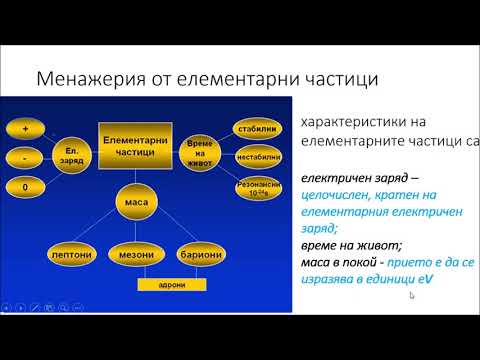 Видео: Елементарни частици Част 1