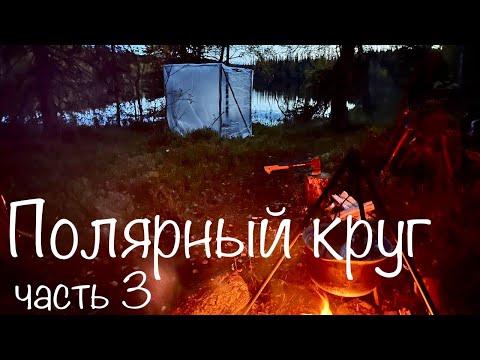 Видео: ЛОВЛЯ ГИГАНТСКОЙ КУМЖИ. ПОСТРОЙКА ПОХОДНОЙ БАНИ. Осенняя рыбалка в Мурманской тайге ч. 3