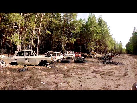 Видео: ЗАЕЗД В ТАЙГУ! НАШЛИ ТОННЫ МЕТАЛЛА. КАК ВЫВОЗИТЬ?