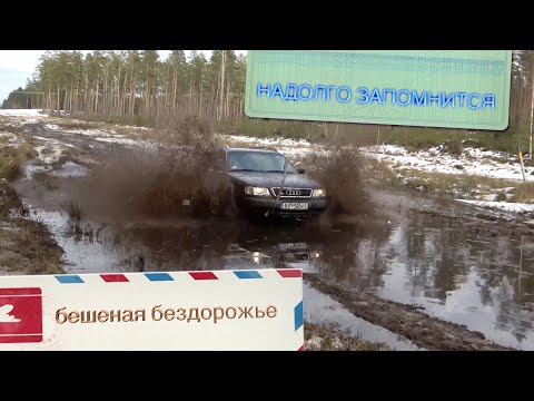 Видео: Бешеное бездорожье получилась , и утопили Ауди )))