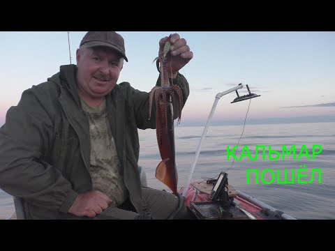 Видео: КАЛЬМАР ЗАЛЕТАЕТ В ЛОДКУ/ ОТЛИЧНЫЙ КЛЁВ/ ОТКРЫТИЕ СЕЗОНА 2022Г