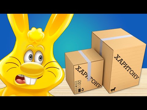 Видео: КУПИЛ СОБАКУ ЖЕЛЕЙНОМУ ЗАЙЦУ ХАРИТОНУ