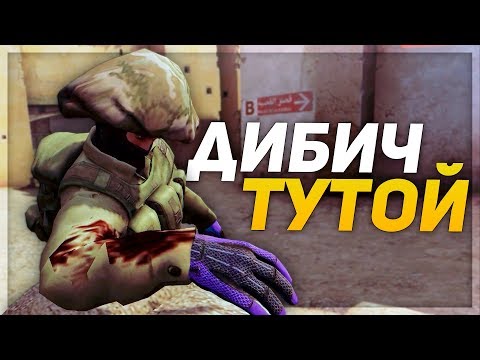 Видео: ДИБИЧ ТУТОЙ (CS:GO)