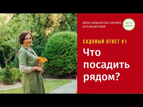 Видео: Что посадить рядом? Садовый ответ #1.