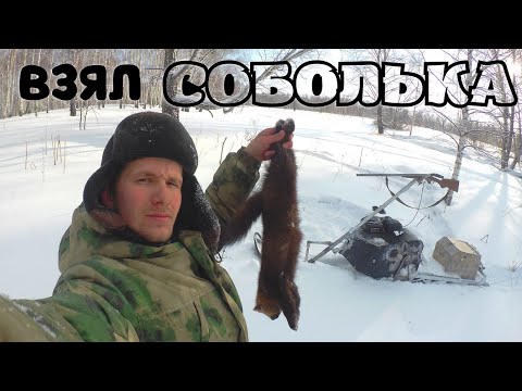 Видео: Выезд в лес# Троплю Соболя# Удачно