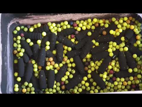 Видео: Как я покрываю пули полимером.