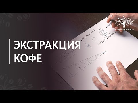 Видео: Как улучшить вкус кофе? Разбираем понятие экстракции.