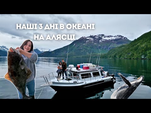 Видео: ВИЖИВАЄМО на ЧОВНІ В ОКЕАНІ: побачили китів та захворіли морською хворобою