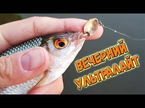 Видео: Вечерний ультралайт - плотва и окунь на спиннинг