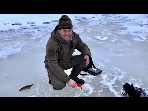 Видео: Поймал удачу за хвост.  Рыбалка на Севере на Хариуса. Весна 2025