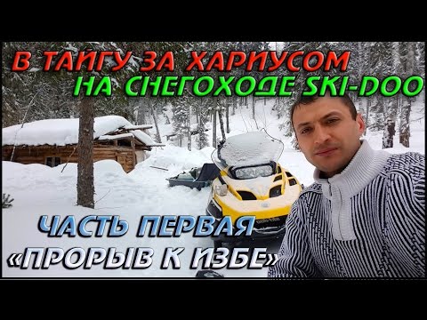 Видео: В ТАЙГУ ЗА ХАРИУСОМ НА СНЕГОХОДЕ SKI-DOO \ЧАСТЬ 1 "ПРОРЫВ К ИЗБЕ"