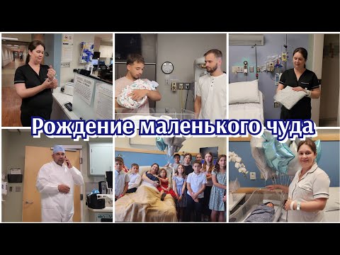 Видео: РОДДОМ В США●РОЖДЕНИЕ 15го МАЛЫША●БОГ БЛАГОСЛАВИЛ НАС ЕЩЁ РАЗ