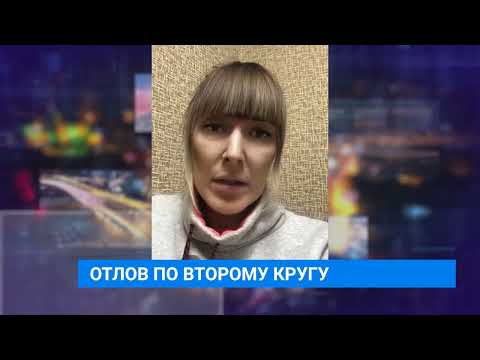 Видео: На территории бывшего приюта "Пять звезд" в Карлуке вновь появились собаки