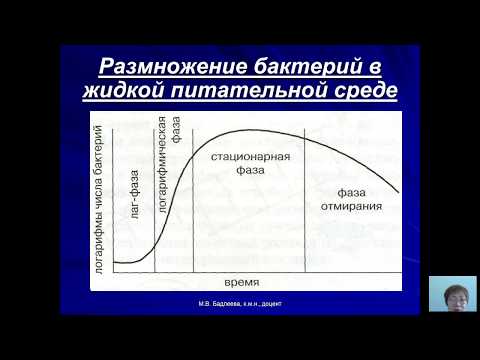 Видео: Общая микробиология (Бадлеева М.В.) - 2 лекция