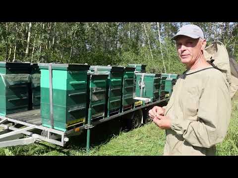 Видео: кочевка завершена , результат есть