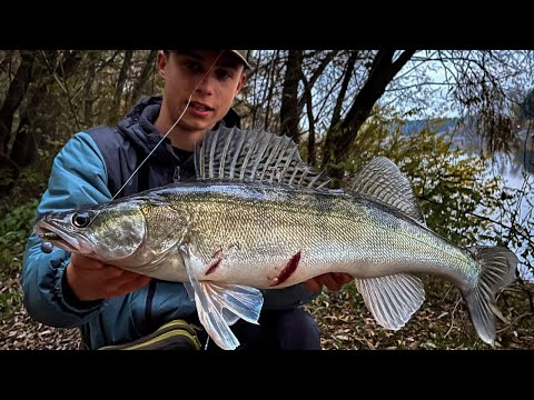 Видео: Чи справді РИБИ БІЛЬШЕ, НІЖ ВОДИ? ТРИ ДНІ НА ДЕСНІ!