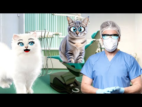 Видео: У Чика есть ТАЙНА!  А Кошки СПАСИЛИ его от ВРАЧА!
