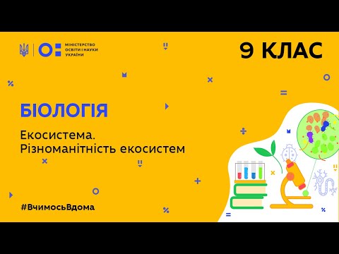 Видео: 9 клас. Біологія. Екосистема. Різноманітність екосистем (Тиж.4:ВТ)