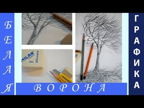 Видео: Как нарисовать ДЕРЕВО и ВЕТЕР карандашом поэтапно. Графика. Простой карандаш.