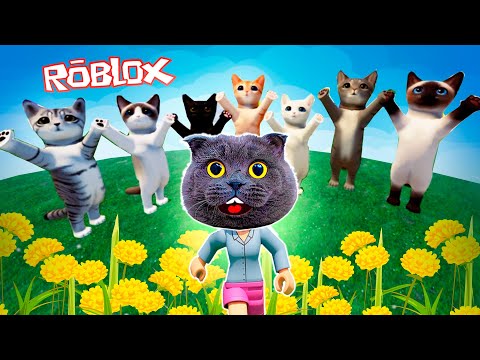 Видео: ИГРАЮ в КОТИКОВ в РОБЛОКС | ШКОЛА КОТЯТ в ROBLOX - ОБНОВЛЕНИЕ | Kitten Game