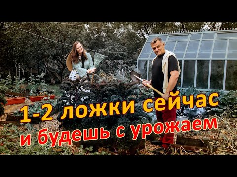 Видео: ОСЕНЬЮ Одна ложка под куст Две под дерево