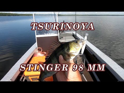 Видео: Хороший Китайский Воблер TSURINOYA 98SP Stinger 98. Ловля окуня на спиннинг!