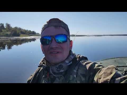 Видео: Озеро Великое Тверской области.