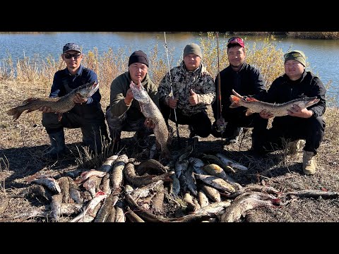 Видео: ТОРГАЙ! НАТКНУЛИСЬ НА ЖОР! КАЖДЫЙ ЗАБРОС РЫБА!#рыбалка #врек #fishing #река #щука #щуканаспиннинг 