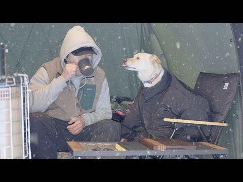 Видео: Снег и мороз, но тепло внутри — уютный зимний кемпинг с моей собакой
