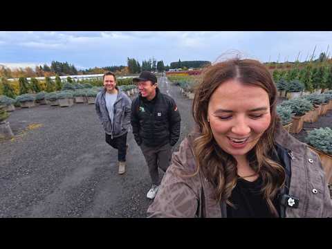 Видео: Приносим домой самые красивые деревья для сада! Я всё ещё в восторге 🌿🫢🌲