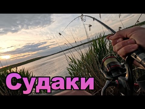 Видео: СУДАКИ В НЕГОДУ!!! ДОЩ ВІТЕР ТА СУДАКИ