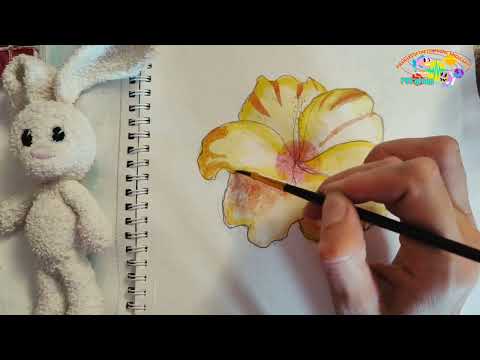 Видео: #какрисоватькартину #гибискус #акварель #art #урокрисования #акварельныйскетч #искусство #watercolor