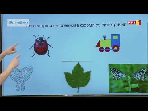 Видео: II одд. Математика Наоѓа примери на 2Д и 3Д форми и симетрија