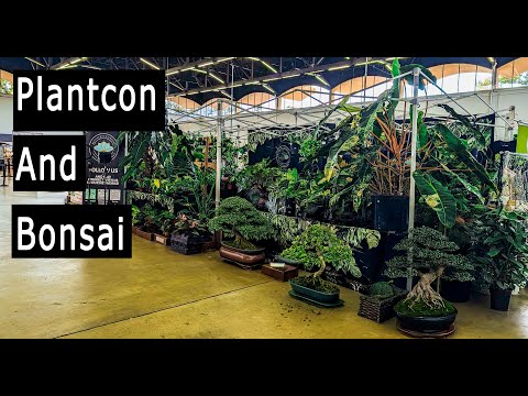 Видео: Plantcon Dallas 2025 и Бонсай.