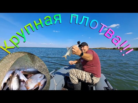 Видео: Рыбалка. На Весёловском водохранилище залив Балка Грекова ловится крупная плотва!