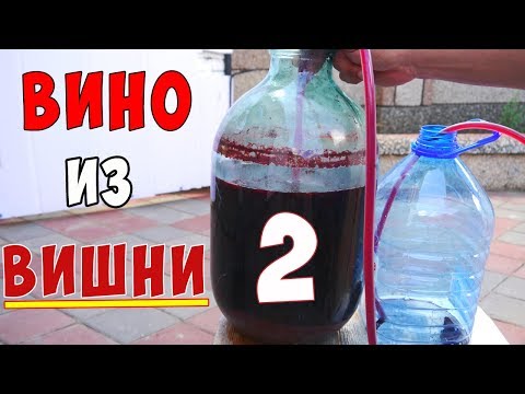 Видео: Вино из ВИШНИ !!! Вишневое вино Часть 2