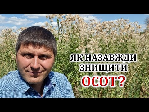 Видео: Як назавжди знищити осот?