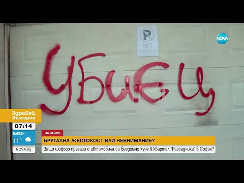 Видео: Кой е шофьорът, прегазил кучето Мая, и за какво наказание настояват хората в „Разсадника“