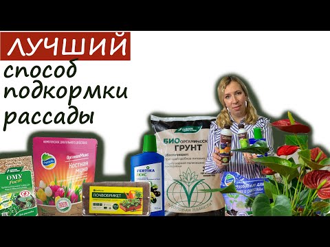 Видео: Лучший способ подкормки рассады