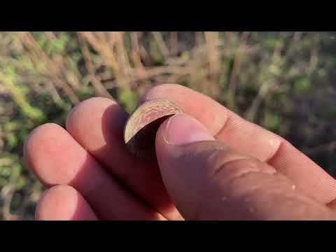 Видео: Осенний выезд в забытое древнее поселение 💍🆒👍