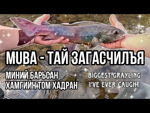 Видео: ХАМГИЙН ТОМ 🎣ХАДРАН🎣 Загасчлал (Biggest Grayling I've ever caught)