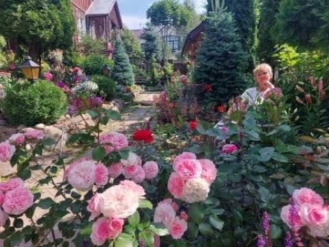 Видео: ПРОГУЛКА-РЕЛАКС ПО МОЕМУ  САДУ - АВГУСТ-2023